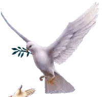 dove-with-olive-branch Noah's Ark Dove First Contact - Smart Gadgetly